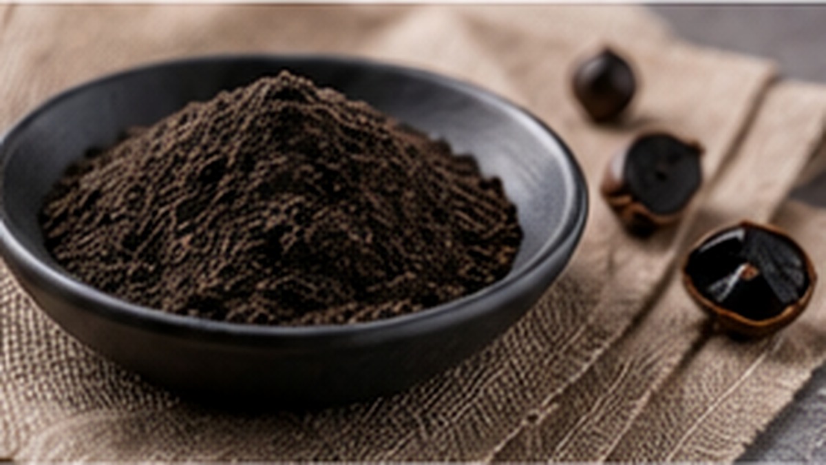 Dose di polvere di aglio nero per condimenti e salse